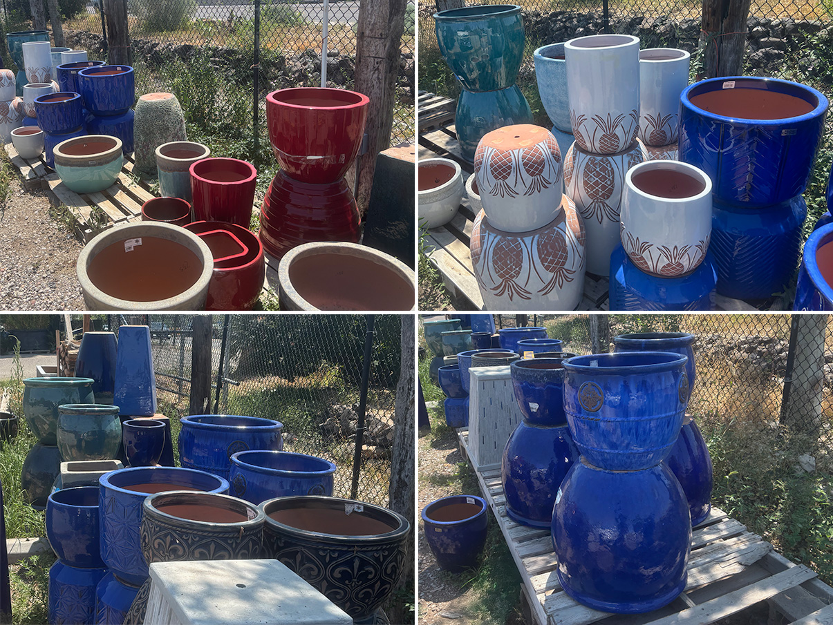 Asian Pottery