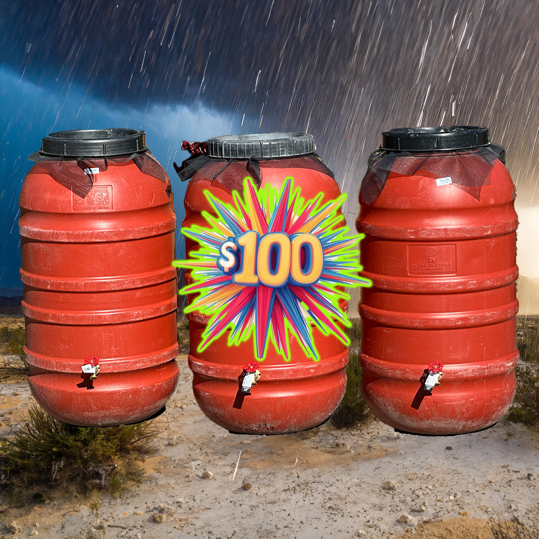 Rain Barrels