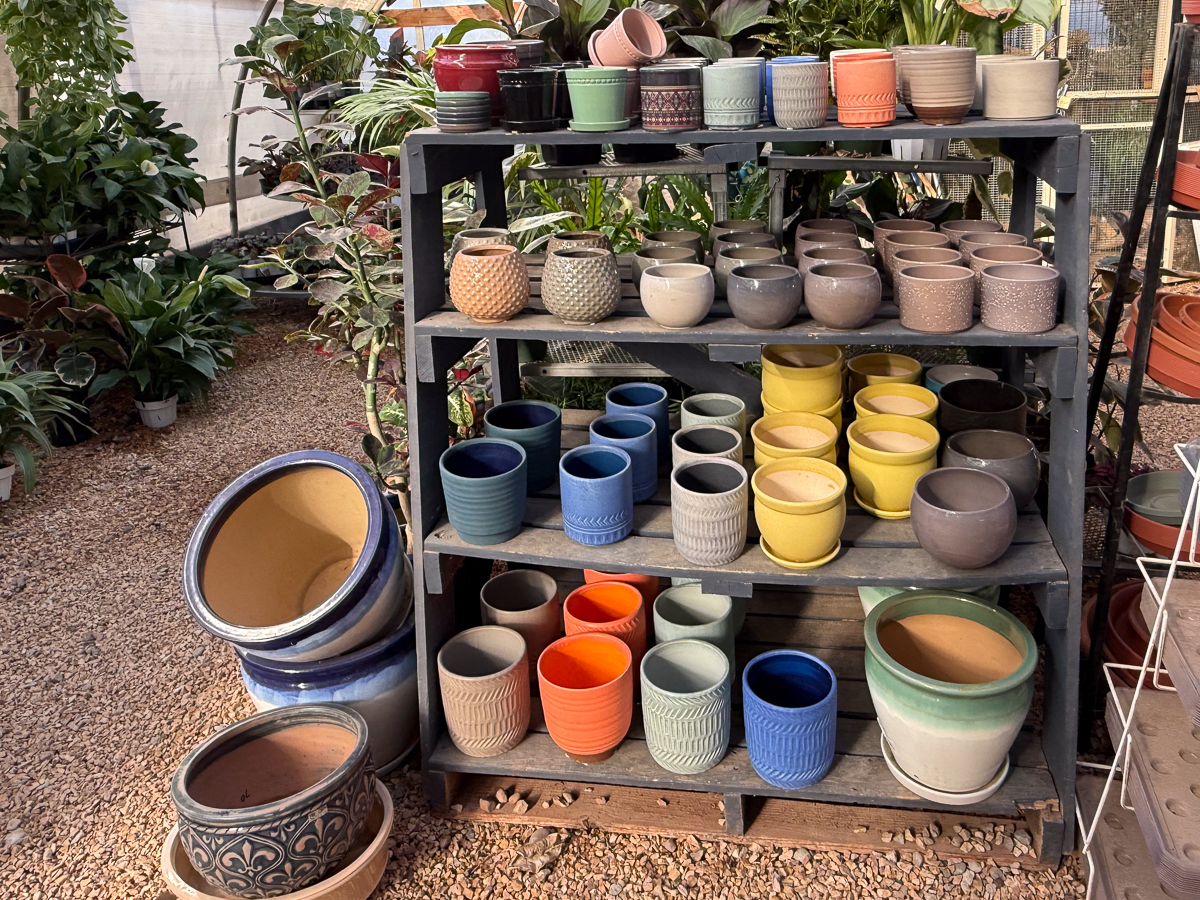 SELECT POTTERY