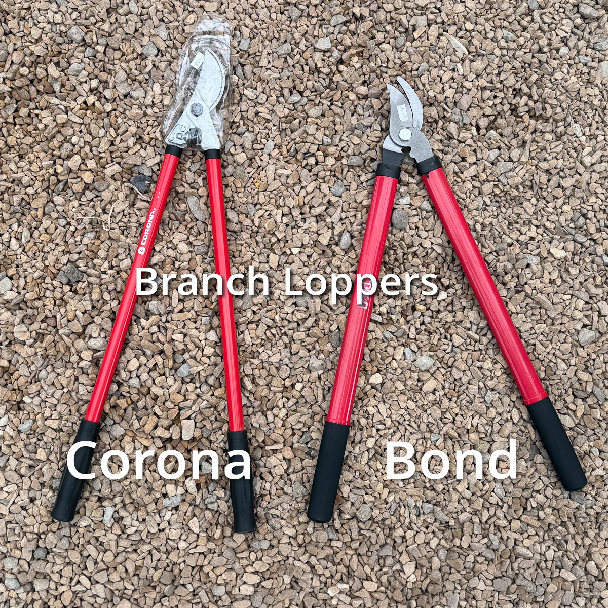 Branch Loppers