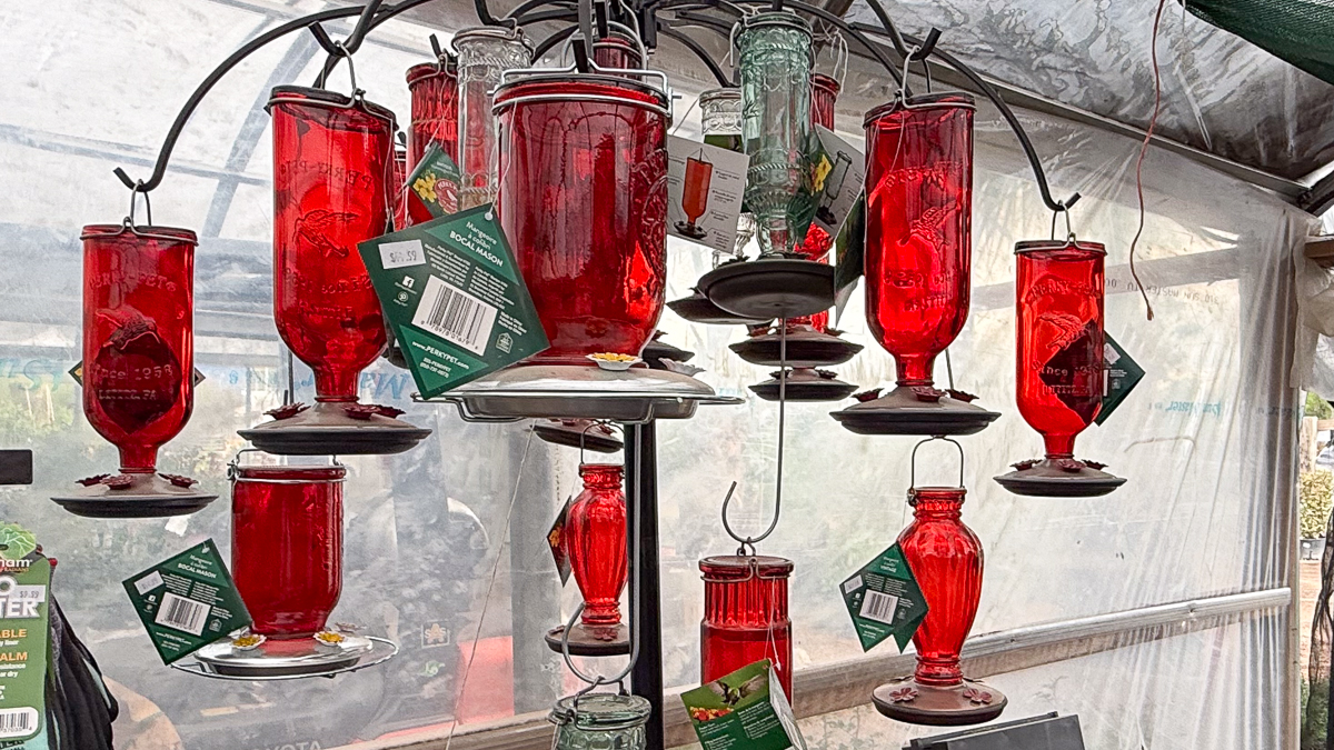 Hummingbird Feeders